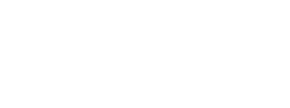 Holy Napoli Logo